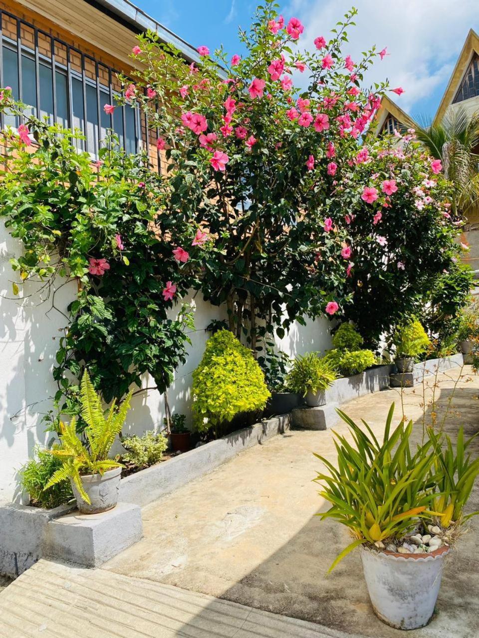 Chez Jeanne Chambre D'Hote Antananarivo Esterno foto